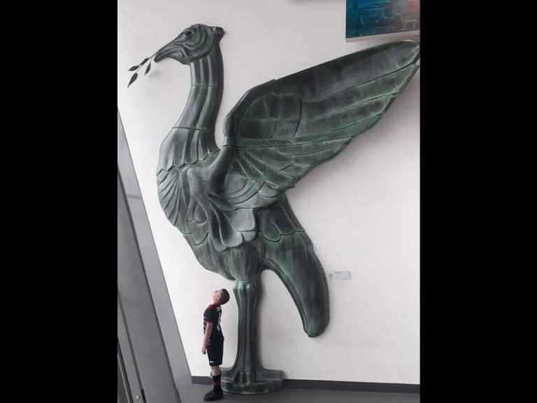 LIVER BIRD