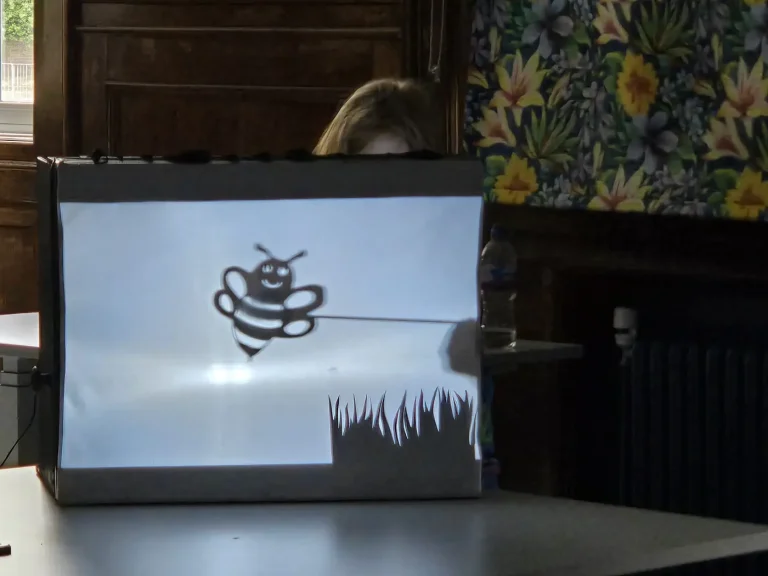 Birkenhead 7 - SHADOW PUPPETS